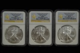 FIRST RELEASE SILVER EAGLES!