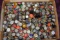900+ COLLECTOR BOTTLE CAPS!