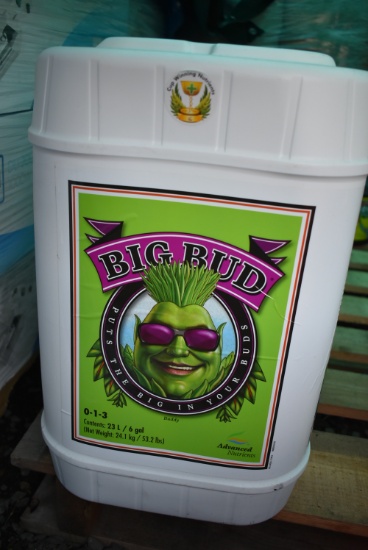 BIG BUD!! 4-20