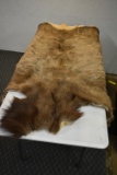 ELK HIDE!!!