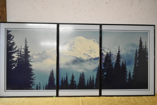 MT. RAINIER SHADOWS & FOG!!!