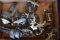 VINTAGE FISHING REEL LOT!!
