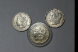 MORGAN DOLLARS!! LOT 1 ITEM 4
