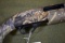 FIREARM/GUN WINCHESTER SXP!!! S 134