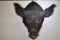 WILD BOAR MOUNT!!!