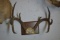 NICE RACK!!!