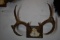 VERY NICE RACK!!!
