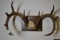 4 POINT RACK!!!
