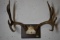 GREAT RACK!!
