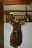 ELK MOUNT!!