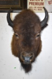 BUFFALO MOUNT!!