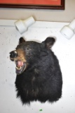 BLACK BEAR MOUNT!!