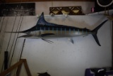 MASSIVE MARLIN MOUNT!!!