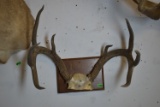 NICE RACK!!!