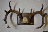 4 POINT RACK!!!