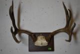 GREAT RACK!!