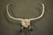 VINTAGE BRASS TONGS!!!