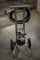 WAGNER AIRLESS PAINT SPRAYER!