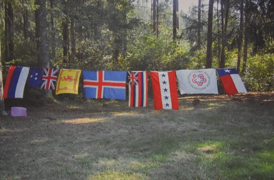 PARADE FLAGS!!