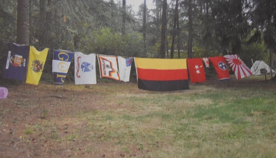 PARADE FLAGS!!