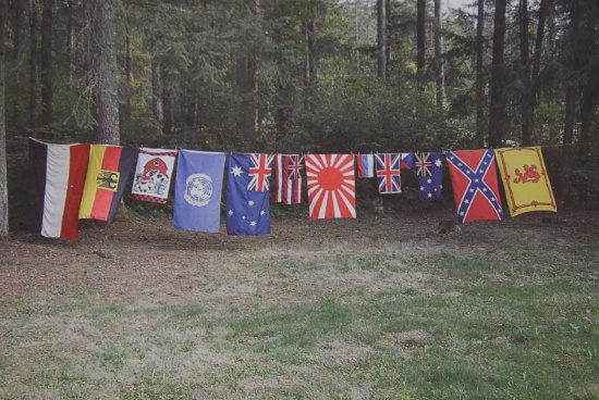 PARADE FLAGS!!