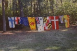 PARADE FLAGS!!
