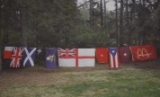 PARADE FLAGS!!