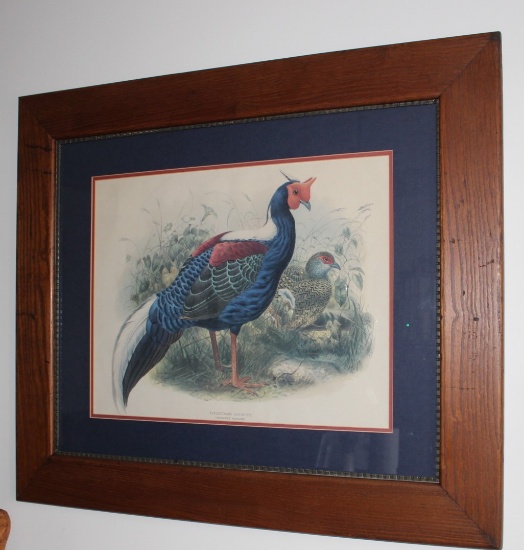 2’x18” Framed And Matted Swinhoe’s Pheasant Picture