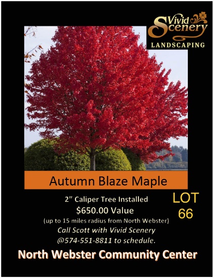 Autumn Blaze Maple 2" Caliper Tree Installed (Up to 15 mile Radius of North