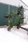 2009 Krone Tedder