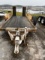Cronkhite Skidloader Trailer