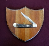 1981 1st Edition Case Collector's Club Knife on Plaque