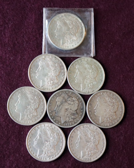 (8) MORGAN SILVER DOLLARS
