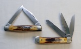 (2)STAG HANDLED KNIVES IN IBCA CASE: CASE #5354 AND ROBESON #622751