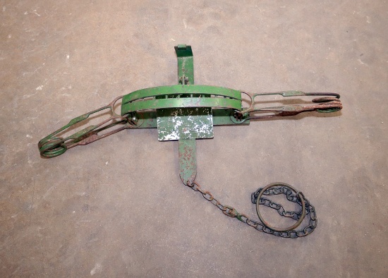 Green bear trap with chain and swivel