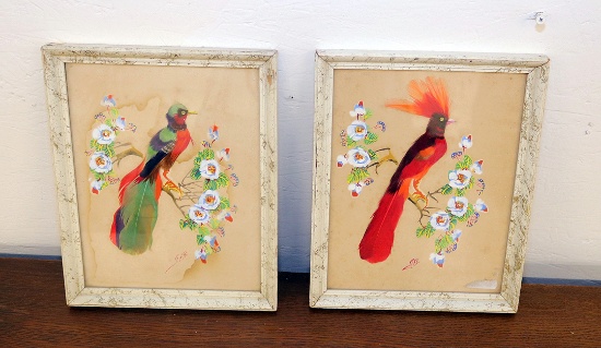 Feather Bird Framed Pictures