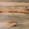 V-Groove Siding