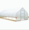 Greenhouse/Grow Tent
