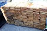 Brown Ponderosa Pine
