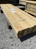 European Pine