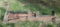 WOOD SPLITTER