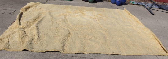 AREA RUG