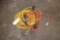 Varied Electrical Cords, 220 and 110