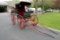 DOCTOR'S CARRIAGE