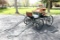 PONY SPIDER PHAETON