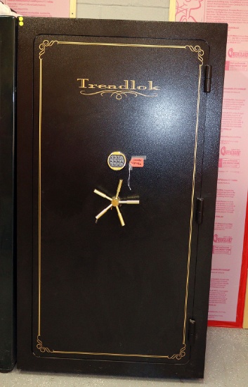 GUN SAFE