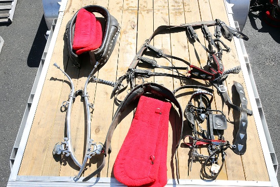 DRAFT HORSE HARNESS