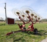 Sitrex Hay Rake