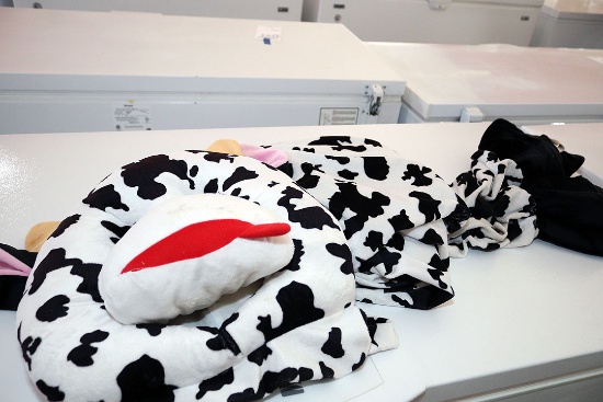 COW COSTUME