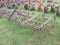 ALLIED 8' DANISH TINE CULTIVATOR, 3 PT